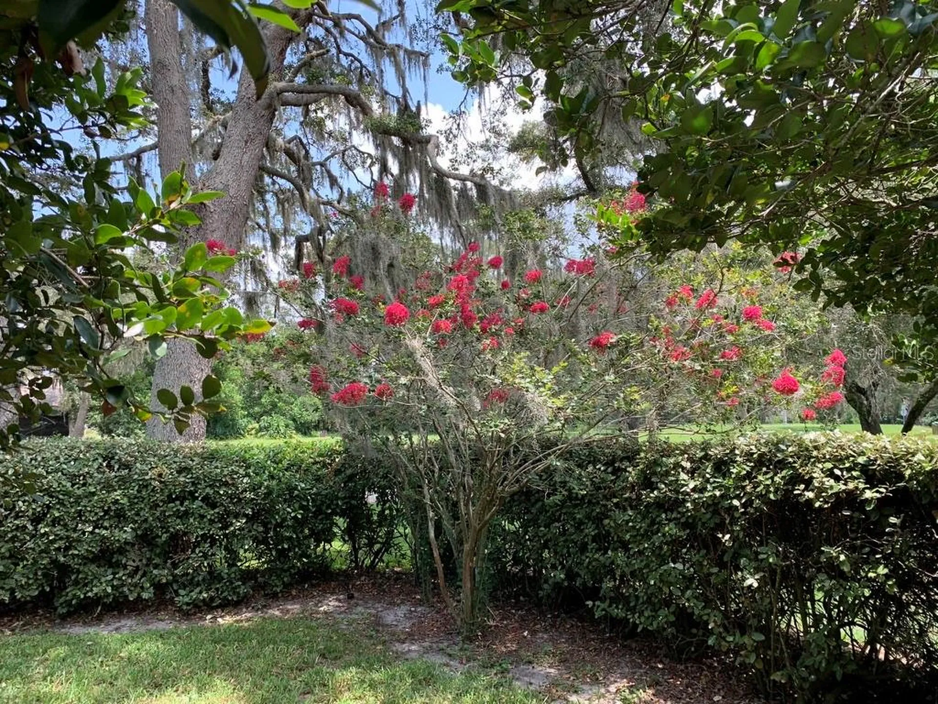 13219 Greenview Court Hudson FL 34669