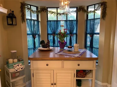 13219 Greenview Court Hudson FL 34669