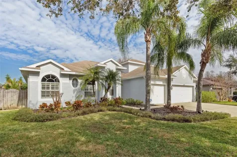16927 Melissa Ann Drive Lutz FL 33558
