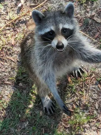 39200 Cook Brown Road Punta Gorda FL 33982