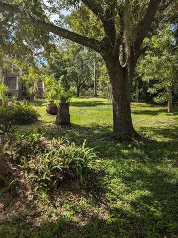 39200 Cook Brown Road Punta Gorda FL 33982