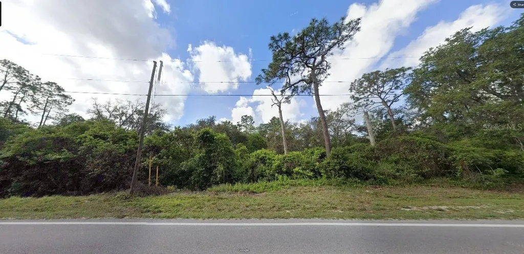 Deen Still Road Polk City FL 33868