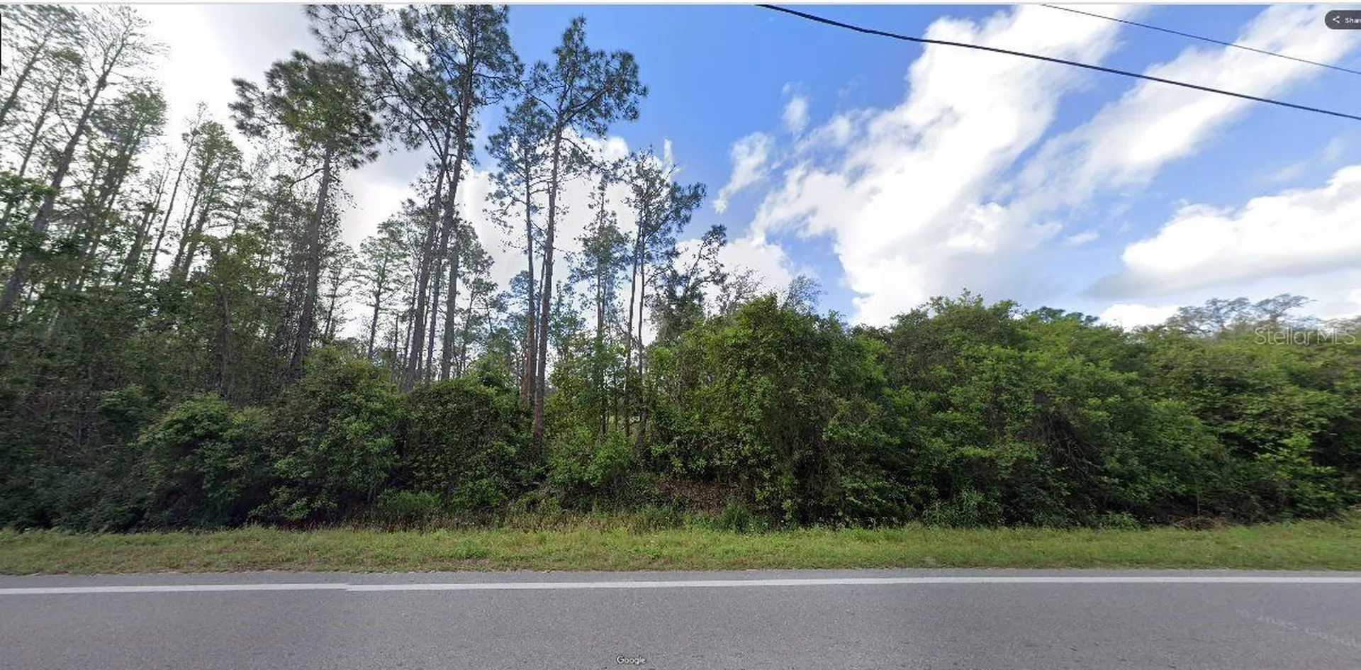 Deen Still Road Polk City FL 33868