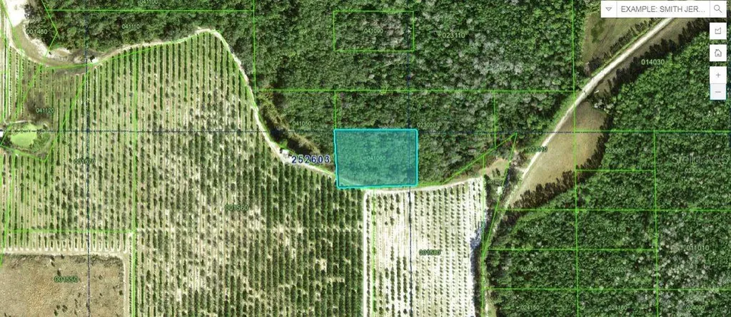 Deen Still Road Polk City FL 33868