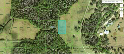 Deen Still Road Polk City FL 33868