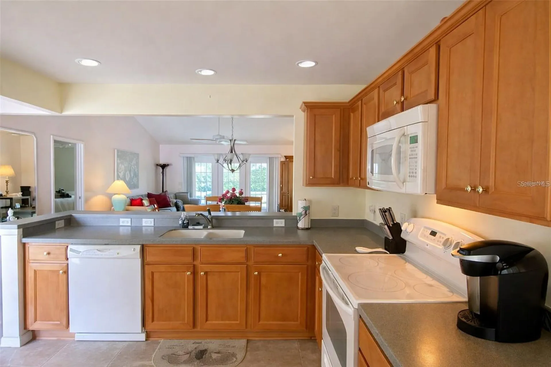 2530 Saffron Lane The Villages FL 32162