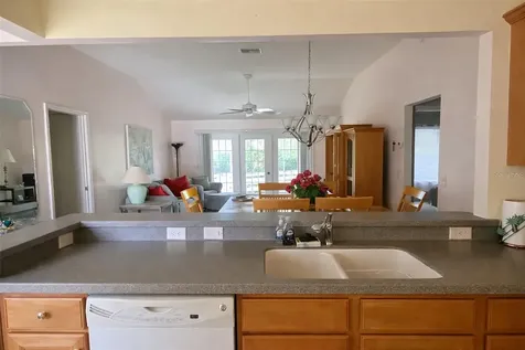 2530 Saffron Lane The Villages FL 32162