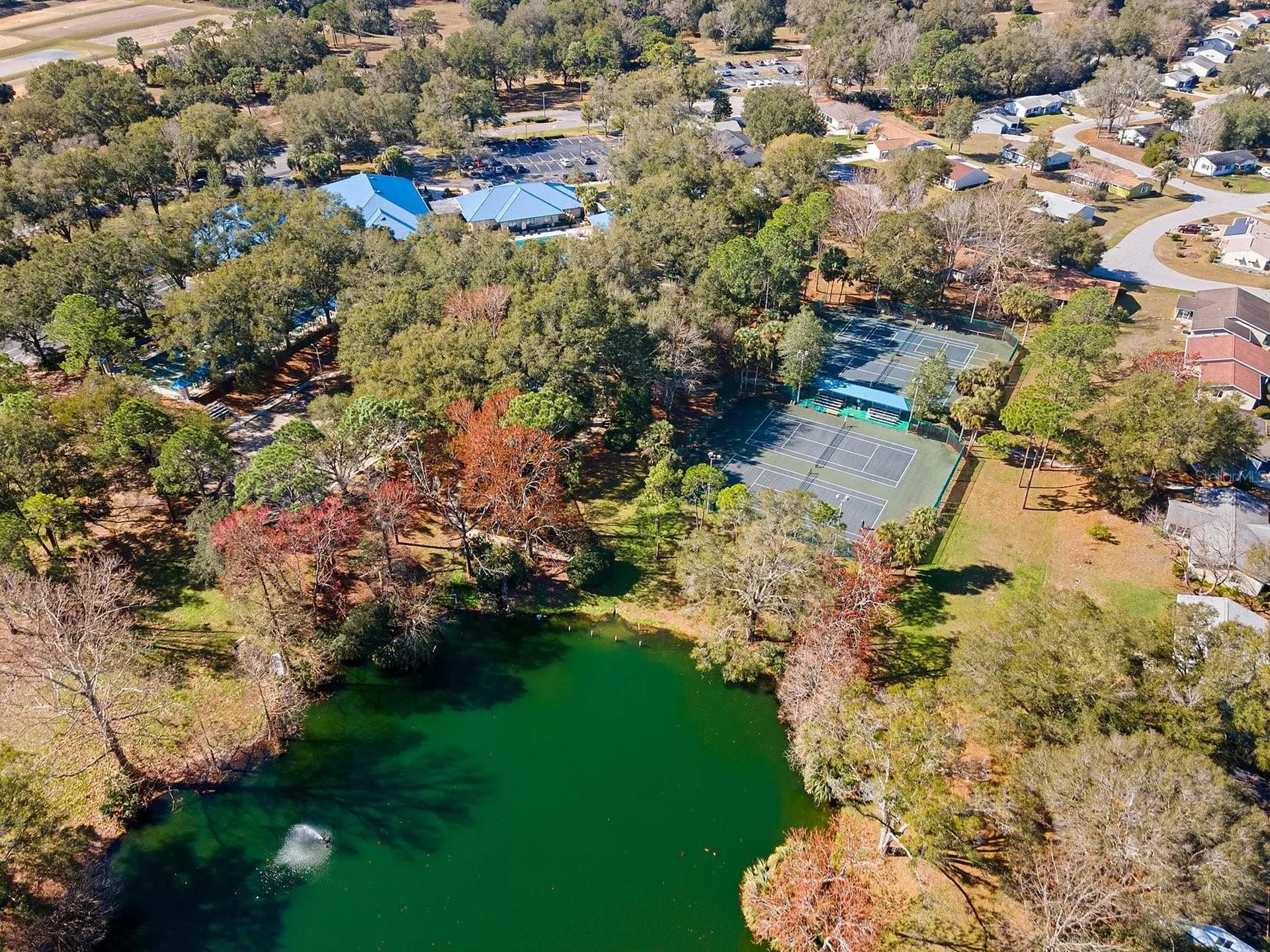 11631 SW 82nd Terrace Ocala FL 34481