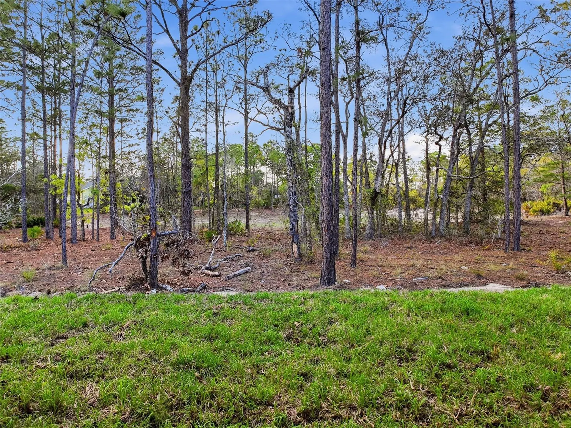 8 Cordia Court Homosassa FL 34446