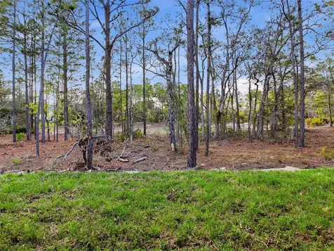 8 Cordia Court Homosassa FL 34446