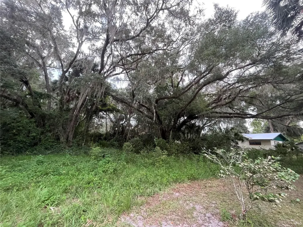 183RD Avenue Hawthorne FL 32640