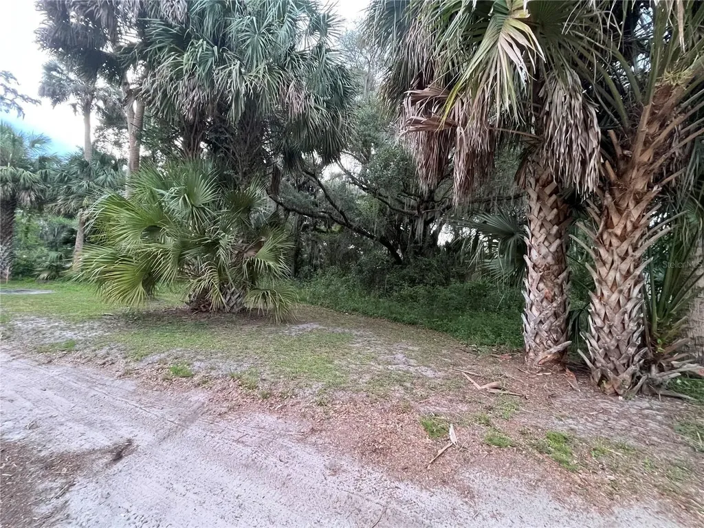 183RD Avenue Hawthorne FL 32640