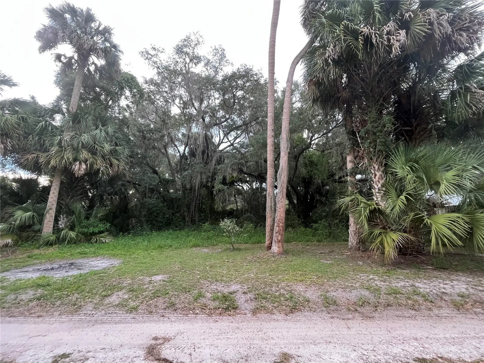 183RD Avenue Hawthorne FL 32640