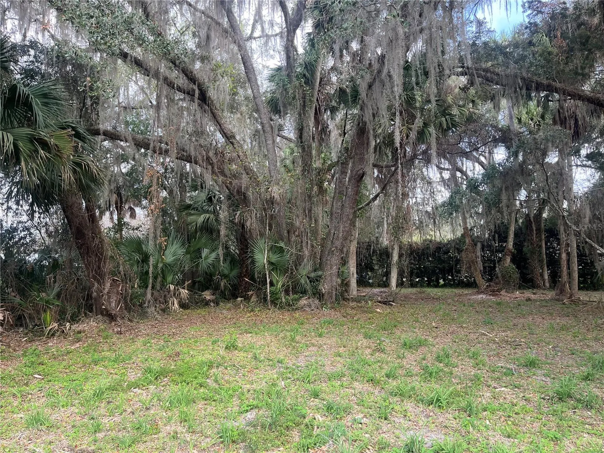 183RD Avenue Hawthorne FL 32640