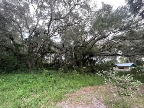 183RD Avenue Hawthorne FL 32640