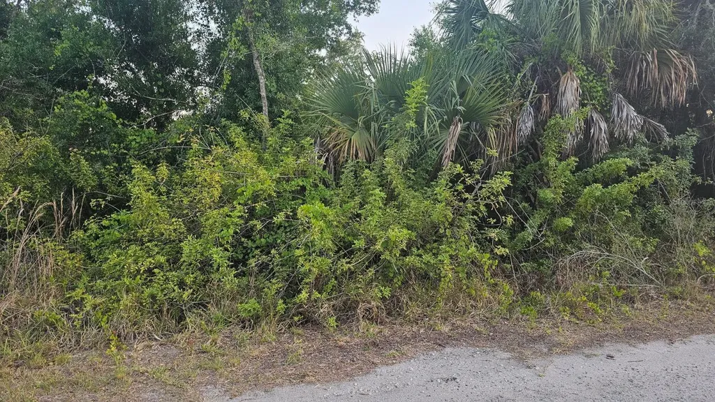 17039 Granville Avenue Port Charlotte FL 33948