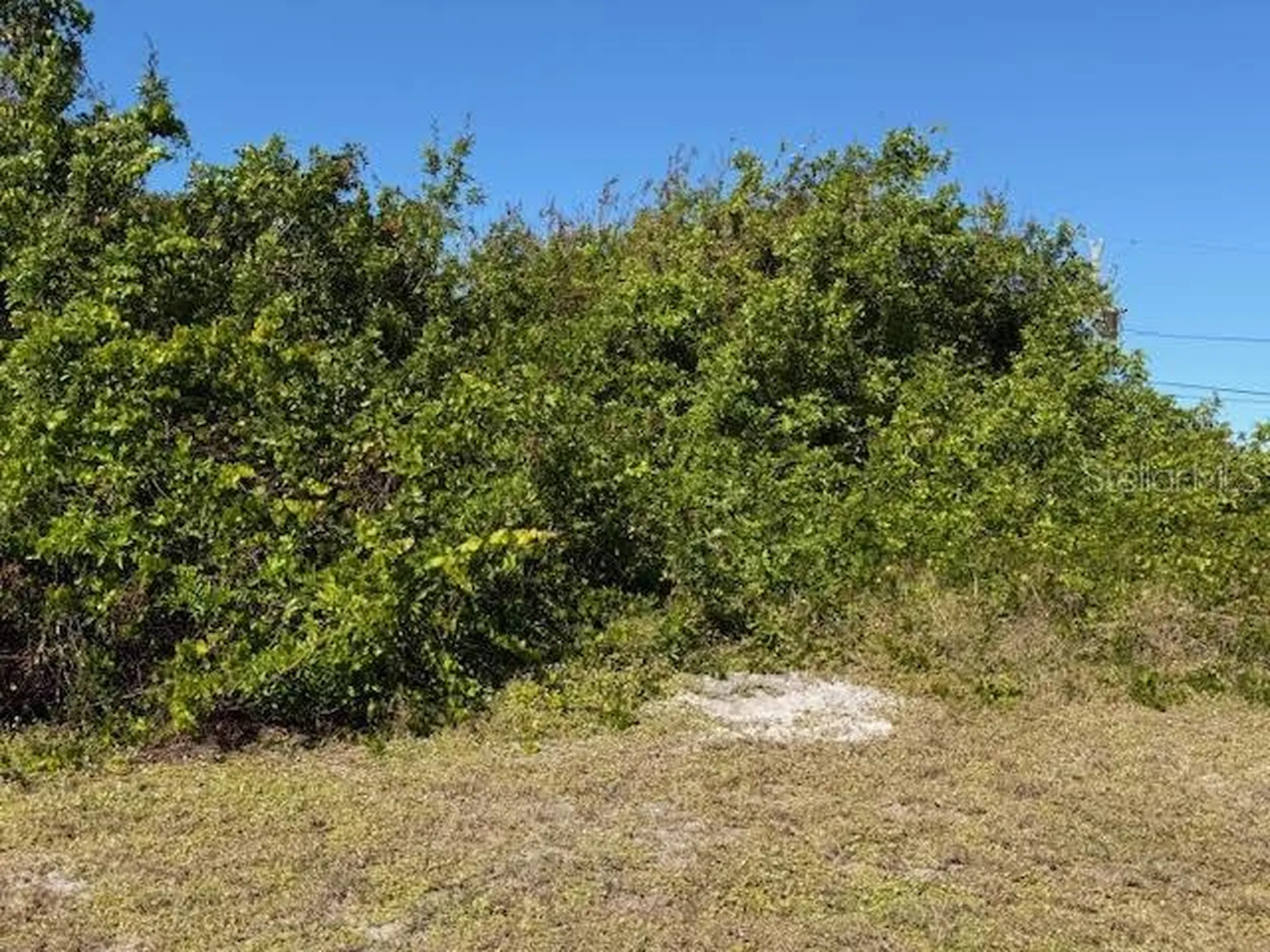7361 Brookhaven Terrace Englewood FL 34224