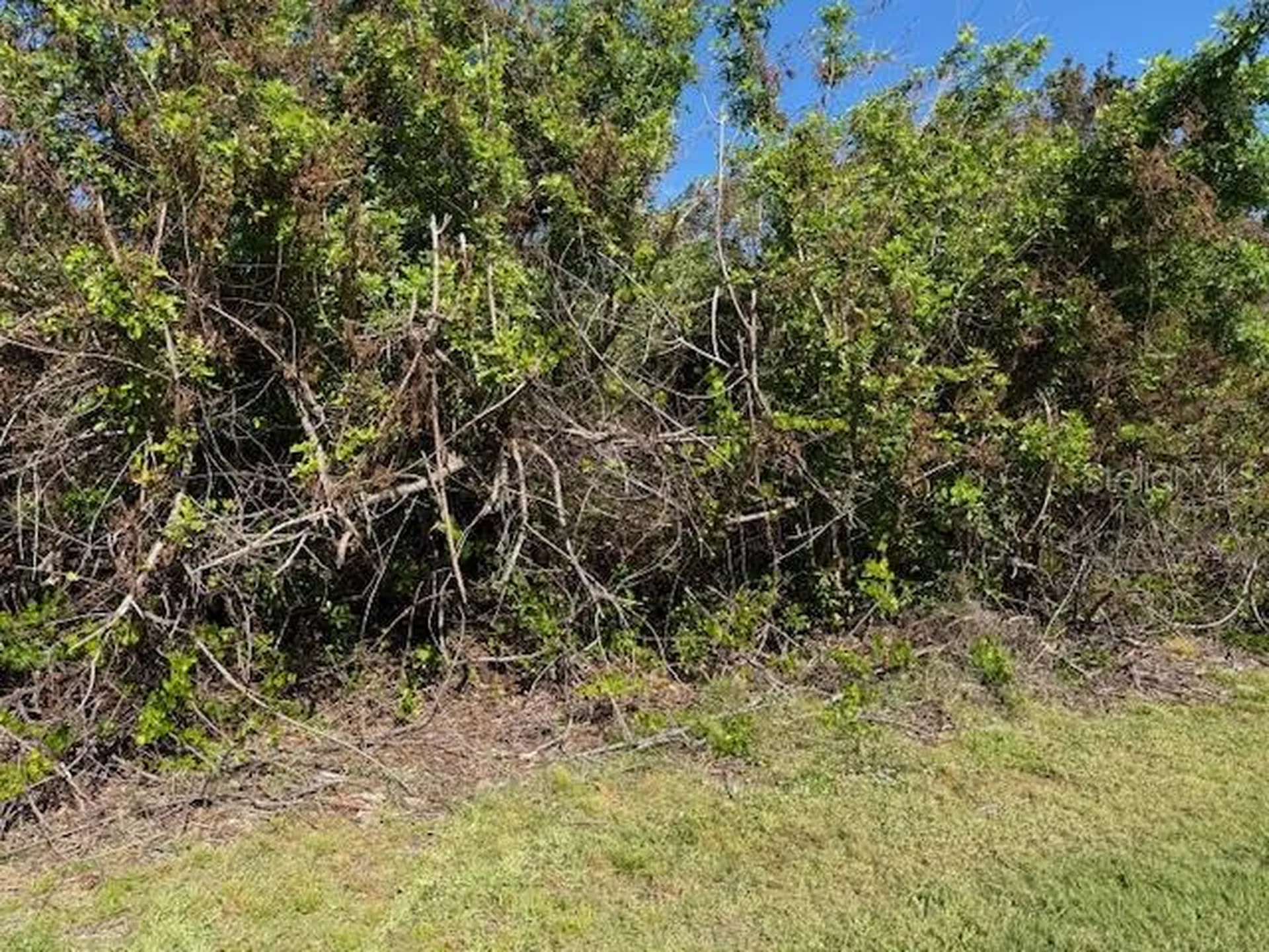 7361 Brookhaven Terrace Englewood FL 34224