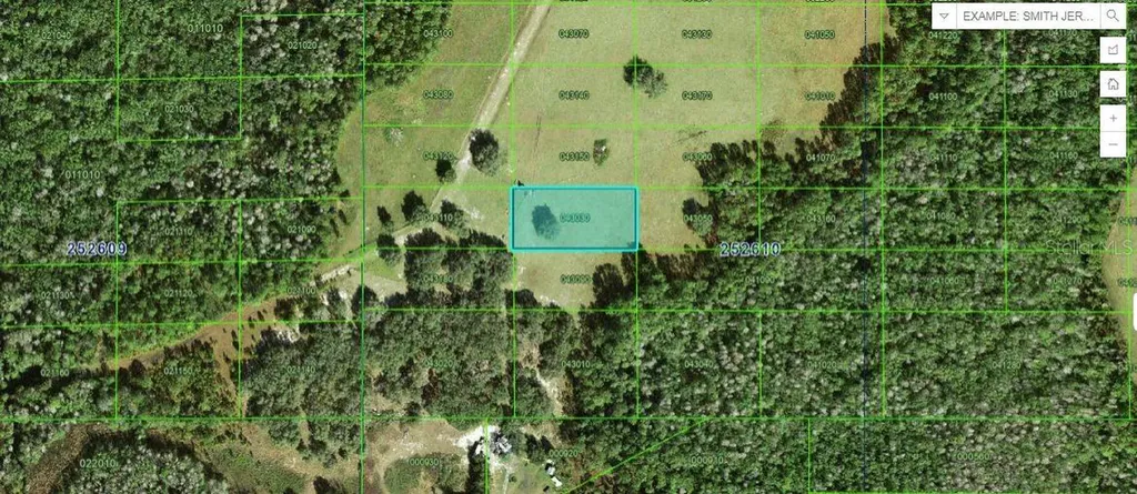 Backland Path Road Polk City FL 33868