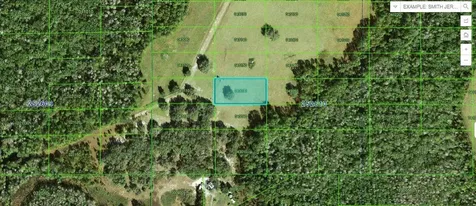Backland Path Road Polk City FL 33868