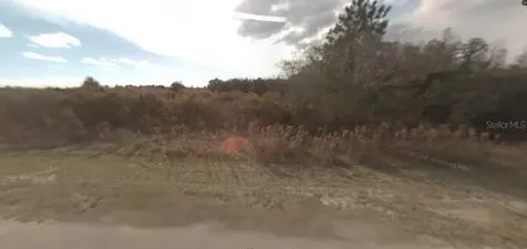 Backland Path Road Polk City FL 33868