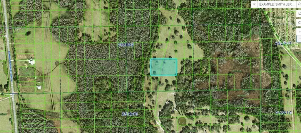 Commonwealth Avenue N Polk City FL 33868