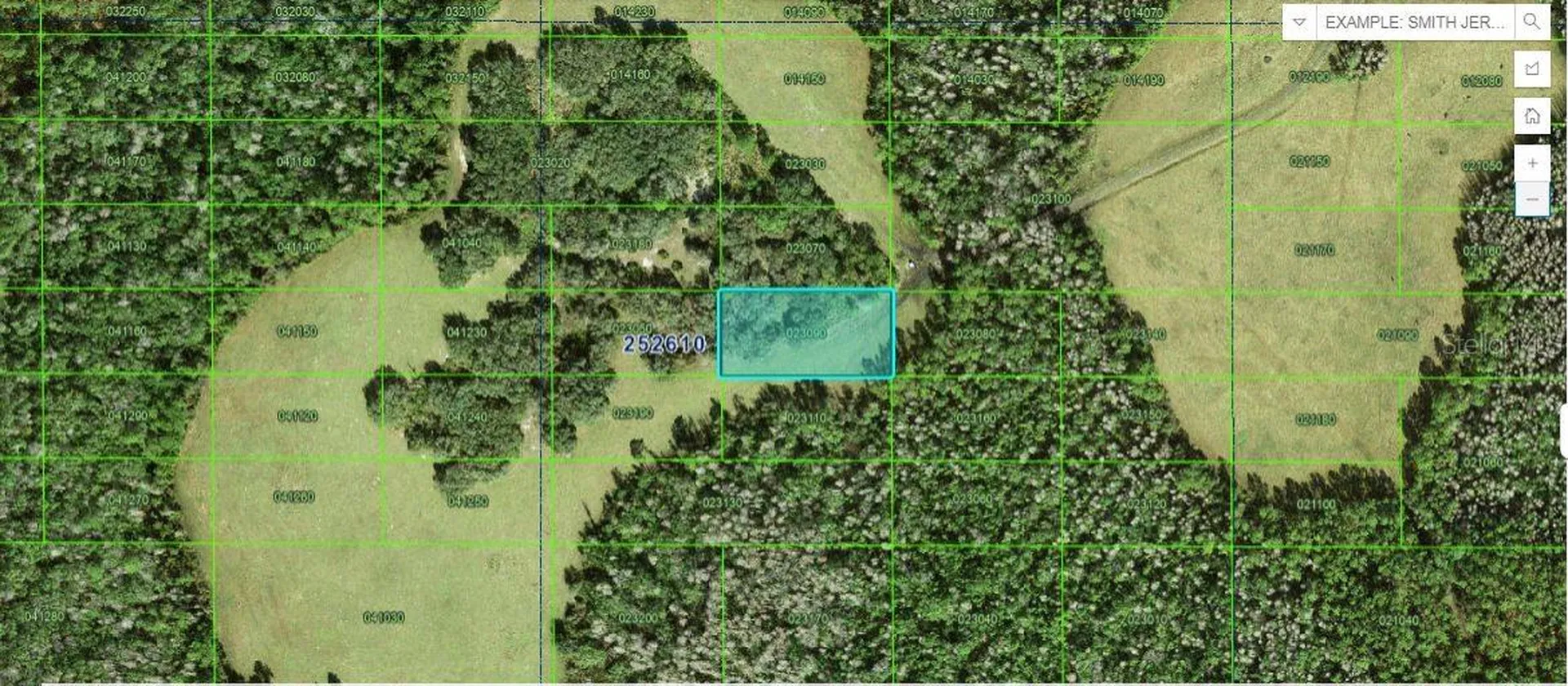 Tall Pine Road Polk City FL 33868