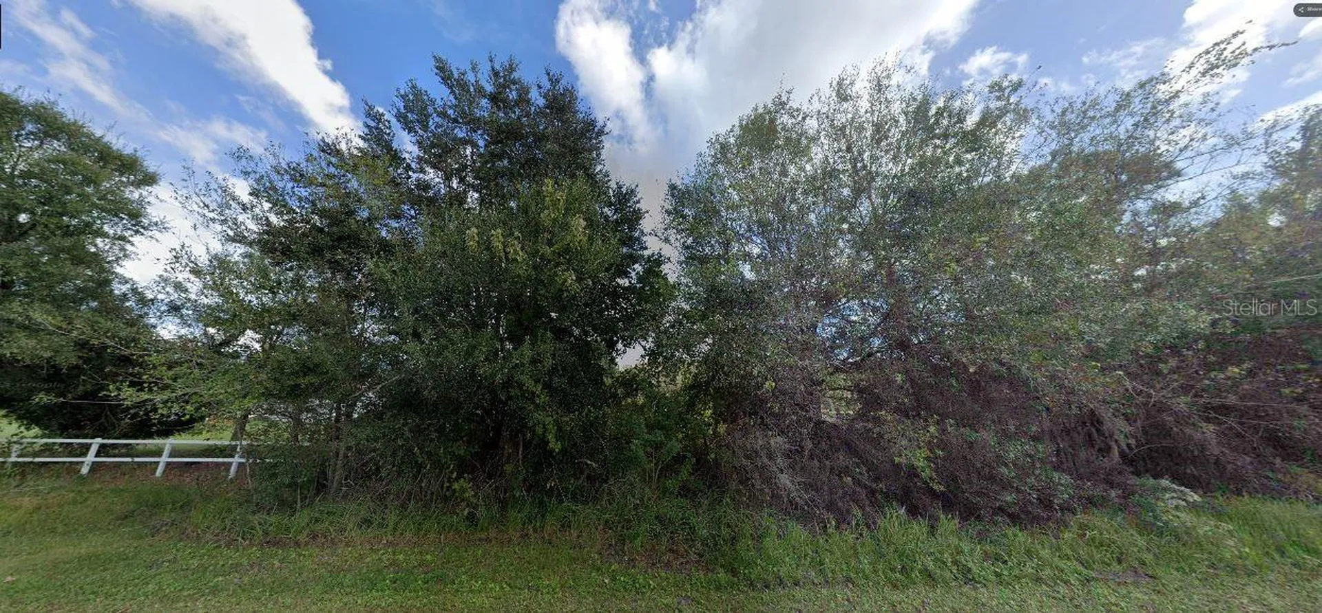 Tall Pine Road Polk City FL 33868