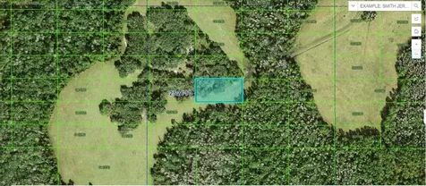 Tall Pine Road Polk City FL 33868
