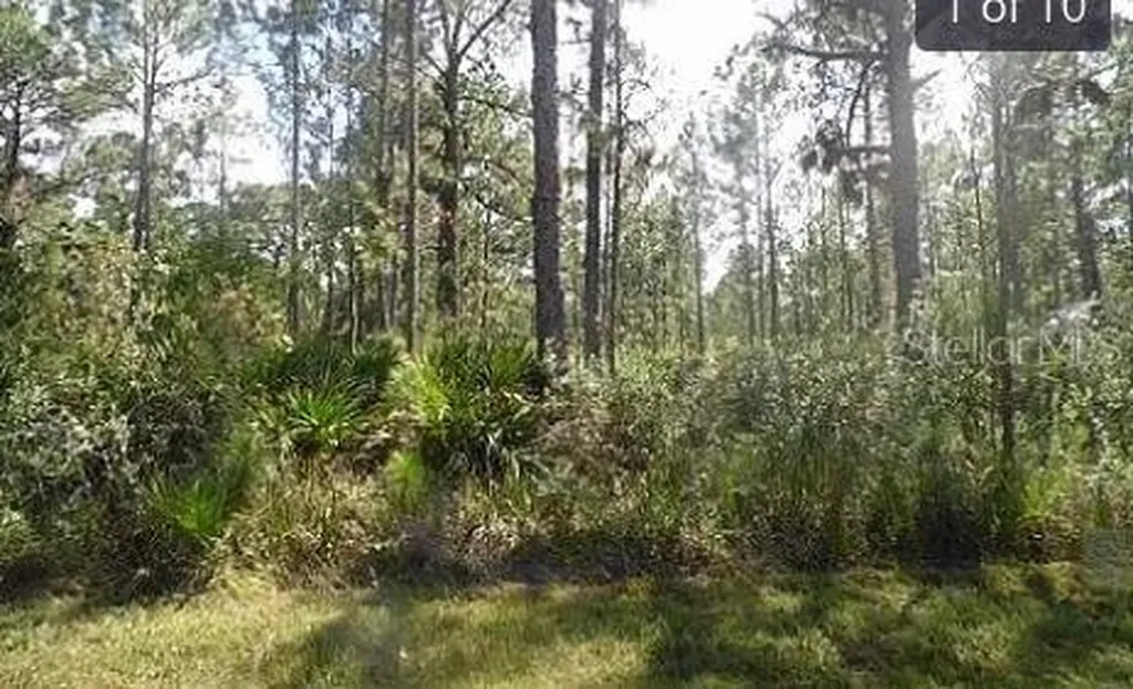 Highway 60 E Lake Wales FL 33898