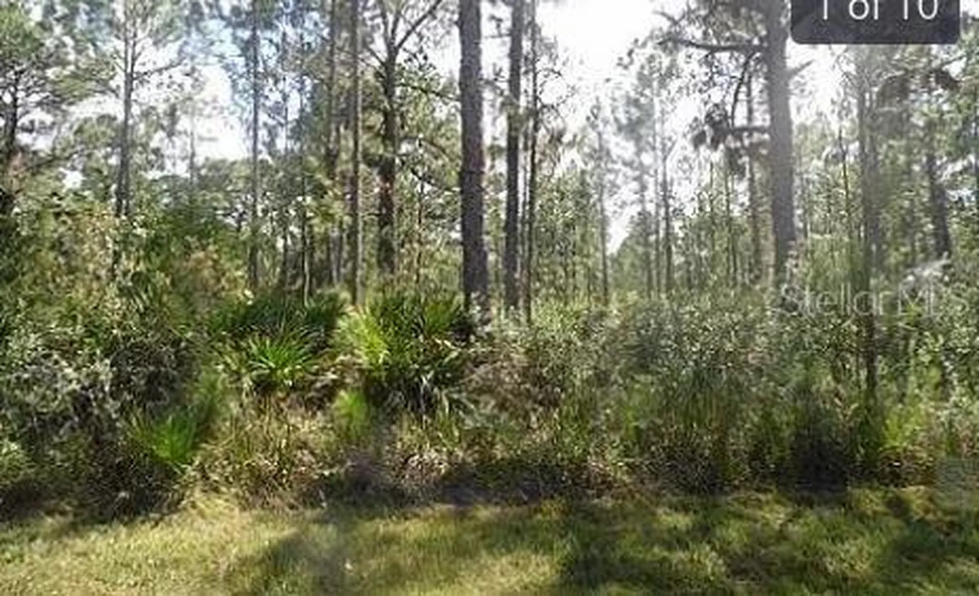 Highway 60 E Lake Wales FL 33898