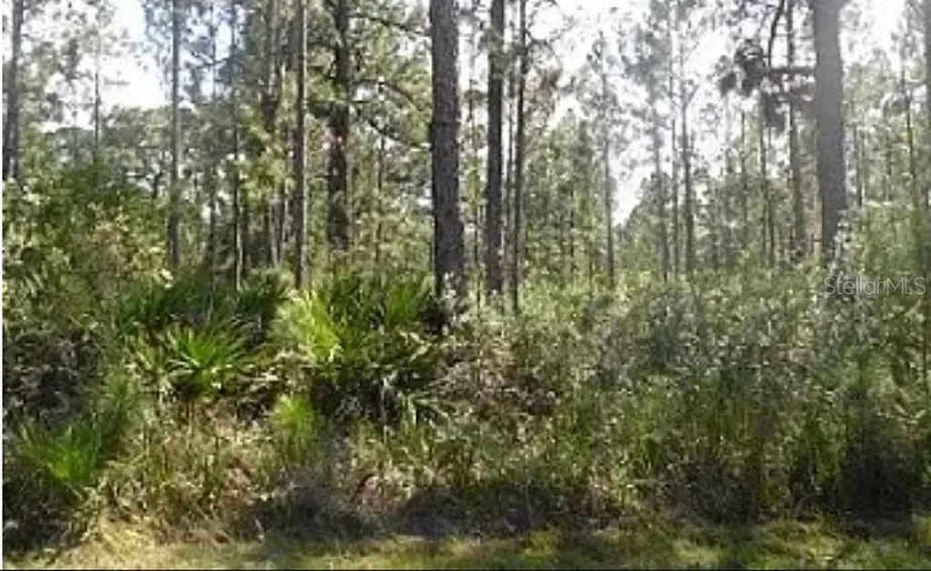 Highway 60 E Lake Wales FL 33898