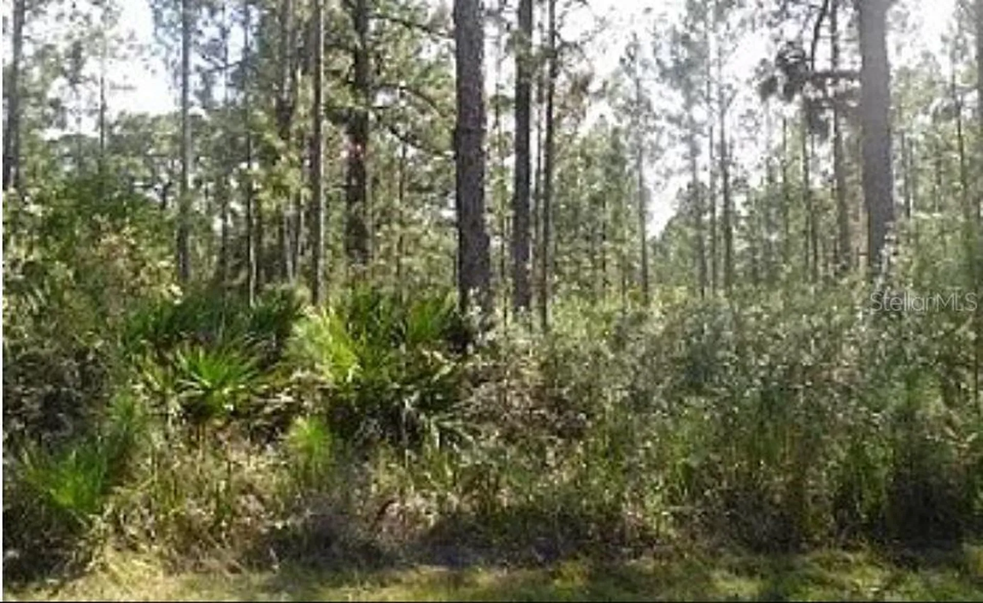 Highway 60 E Lake Wales FL 33898