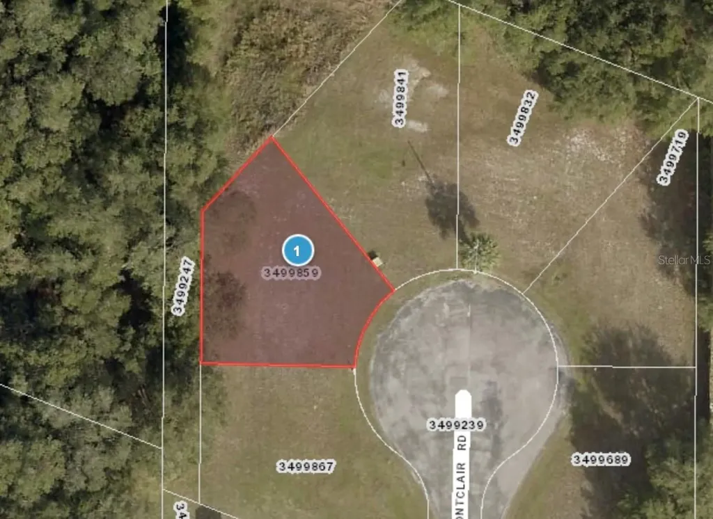 Montclair Road Leesburg FL 34748