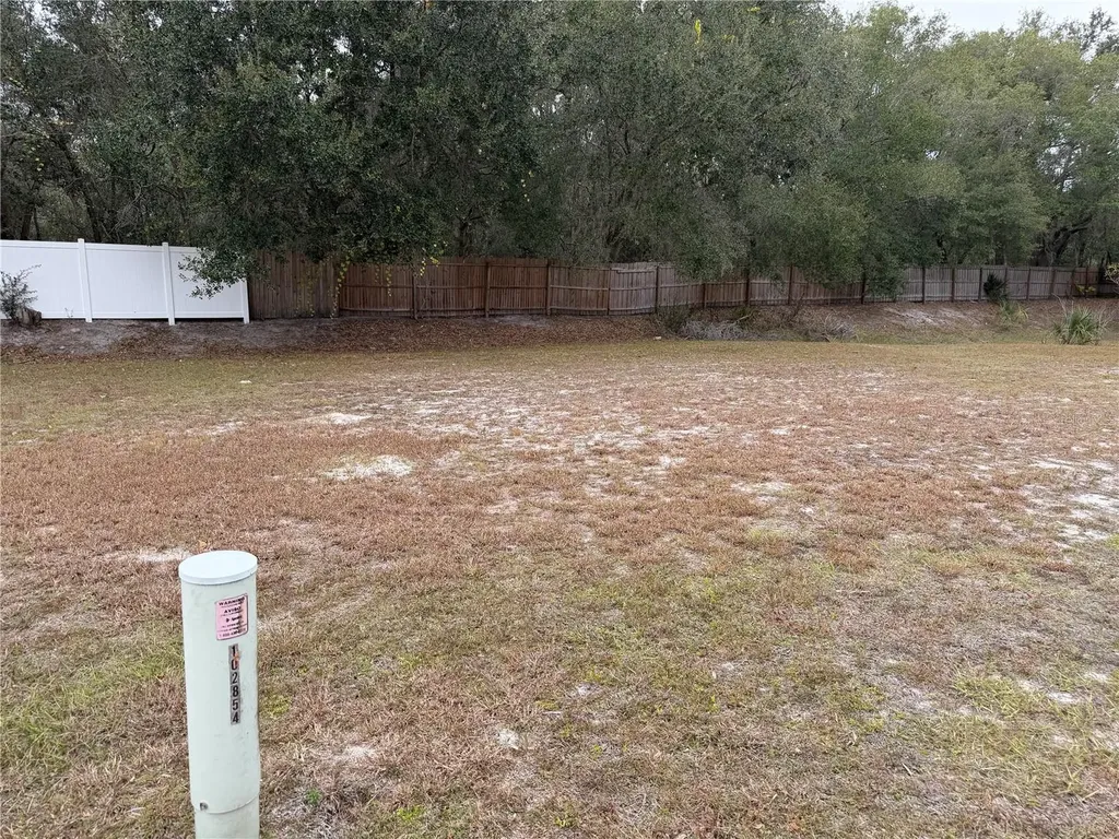 Montclair Road Leesburg FL 34748