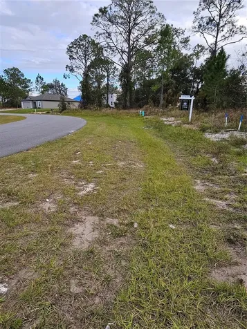 361 Bass Court Poinciana FL 34759