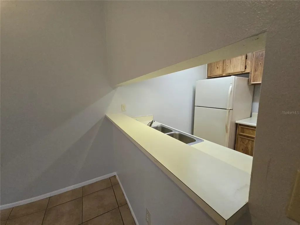 4031 Tumble Wood Trail Tampa FL 33613