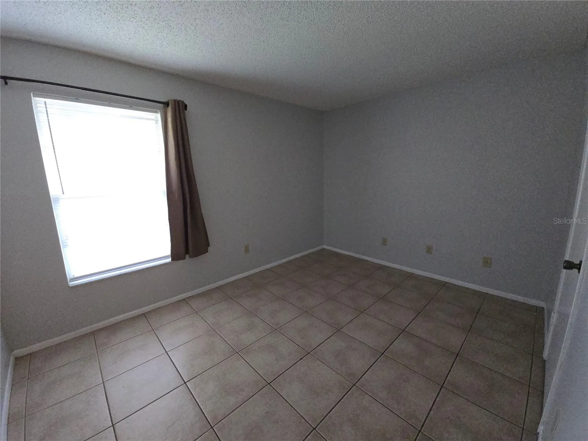 4031 Tumble Wood Trail Tampa FL 33613