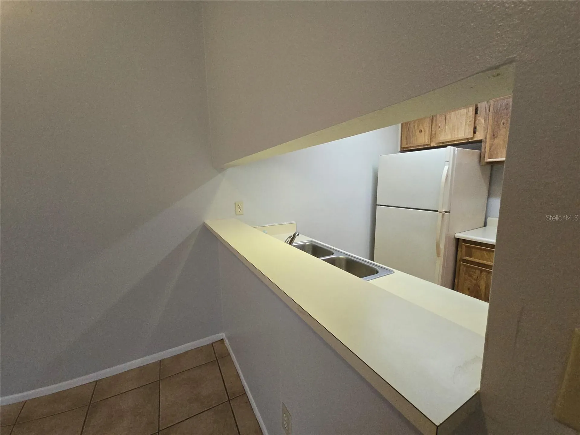 4031 Tumble Wood Trail Tampa FL 33613