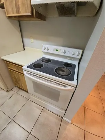 4031 Tumble Wood Trail Tampa FL 33613