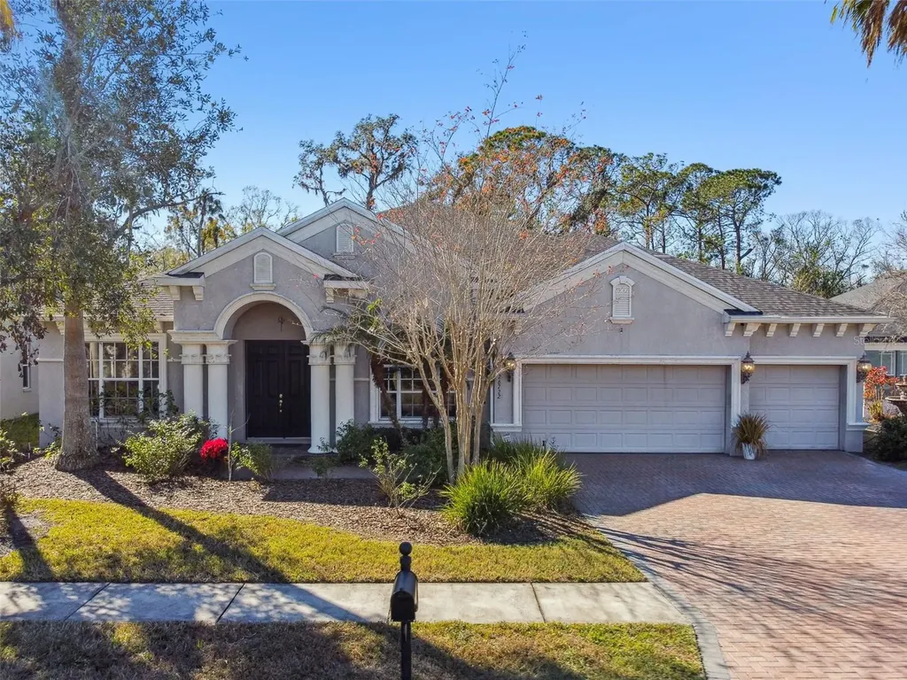 26722 Winged Elm Drive Wesley Chapel FL 33544