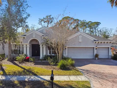 26722 Winged Elm Drive Wesley Chapel FL 33544