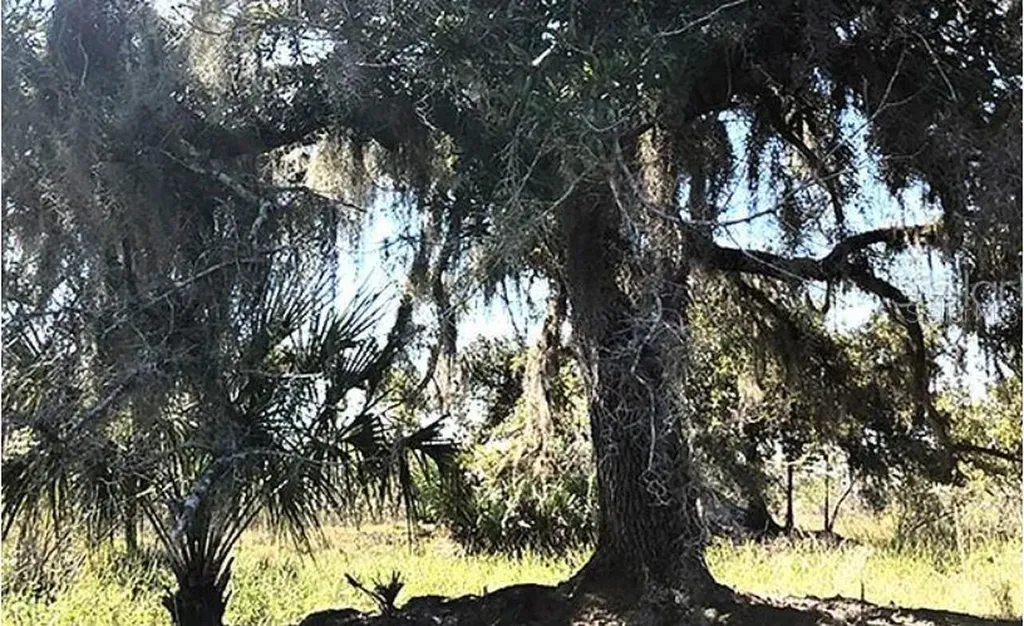 Highway 60 E Lake Wales FL 33898