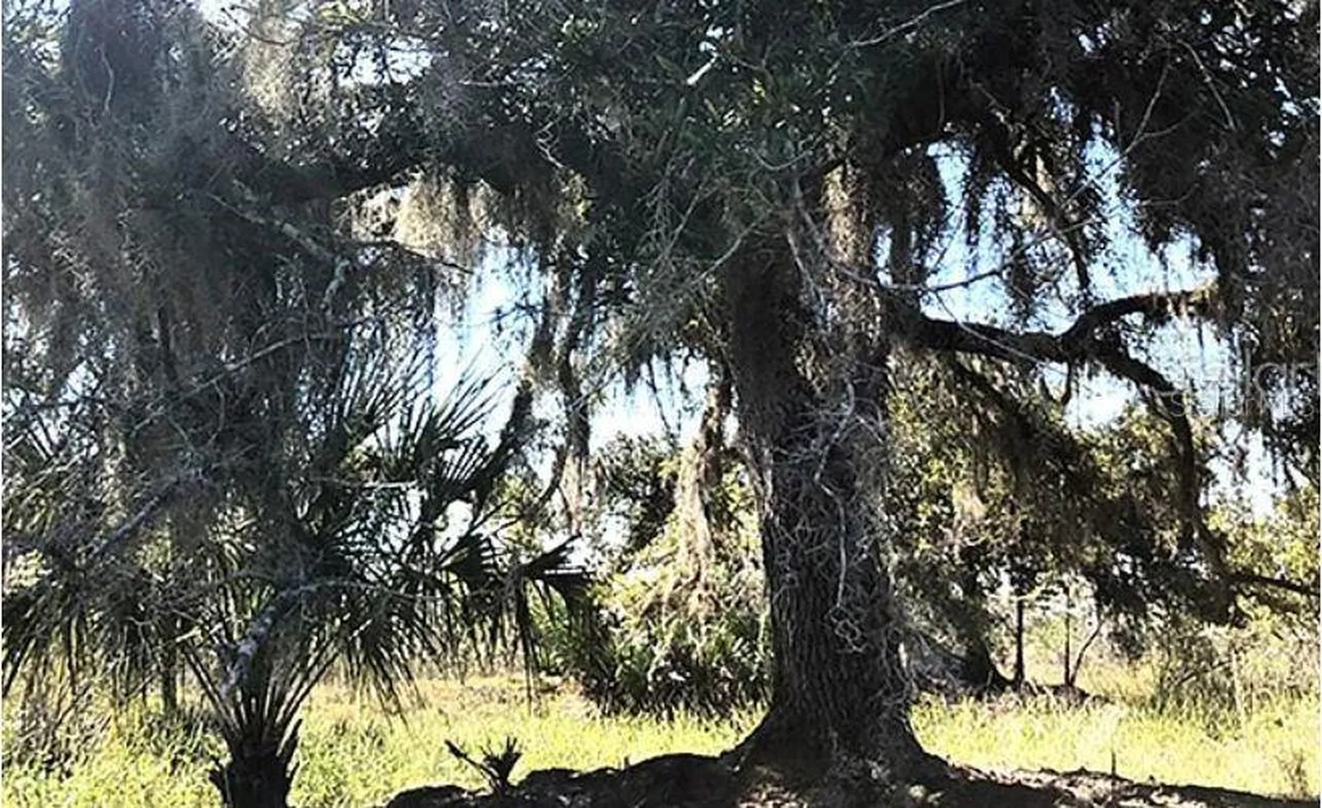 Highway 60 E Lake Wales FL 33898