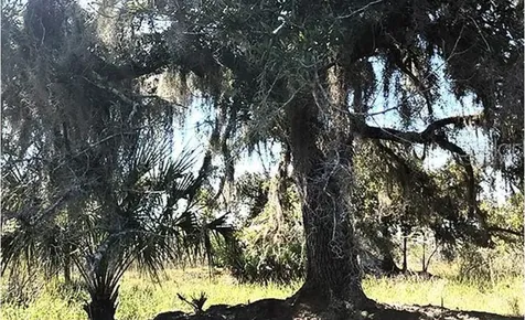 Highway 60 E Lake Wales FL 33898