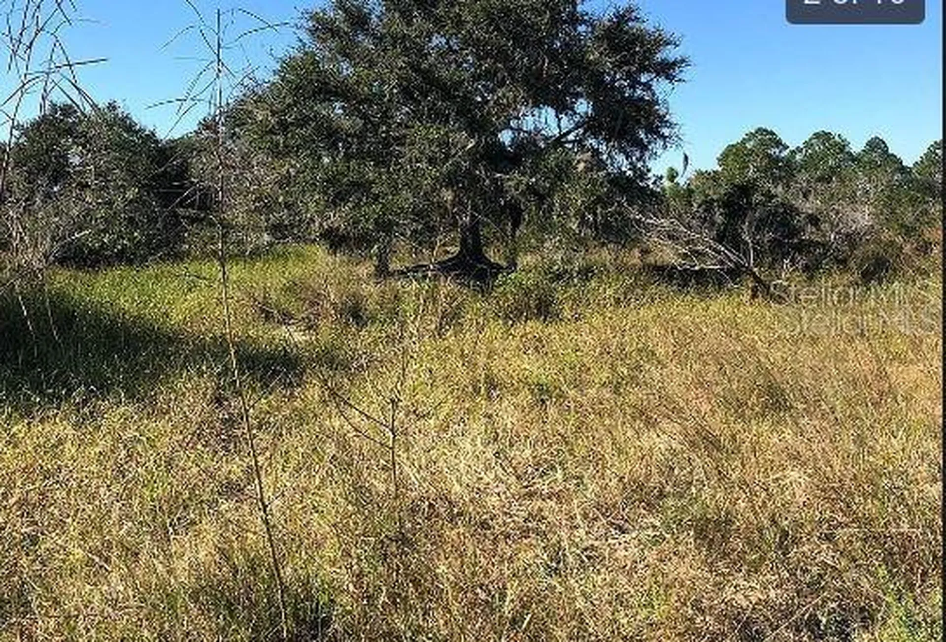 Highway 60 E Lake Wales FL 33898