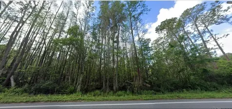 Deen Still Road Polk City FL 33868