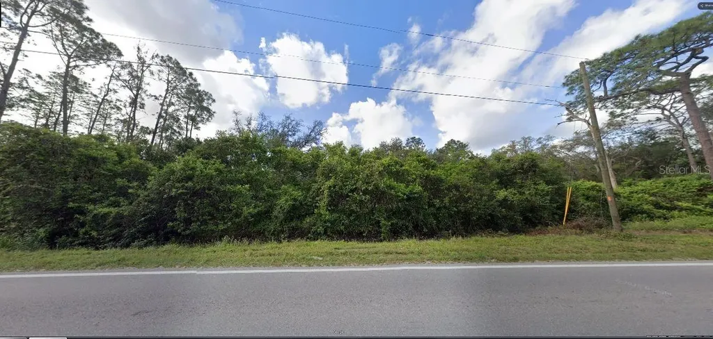 Deen Still Road Polk City FL 33868