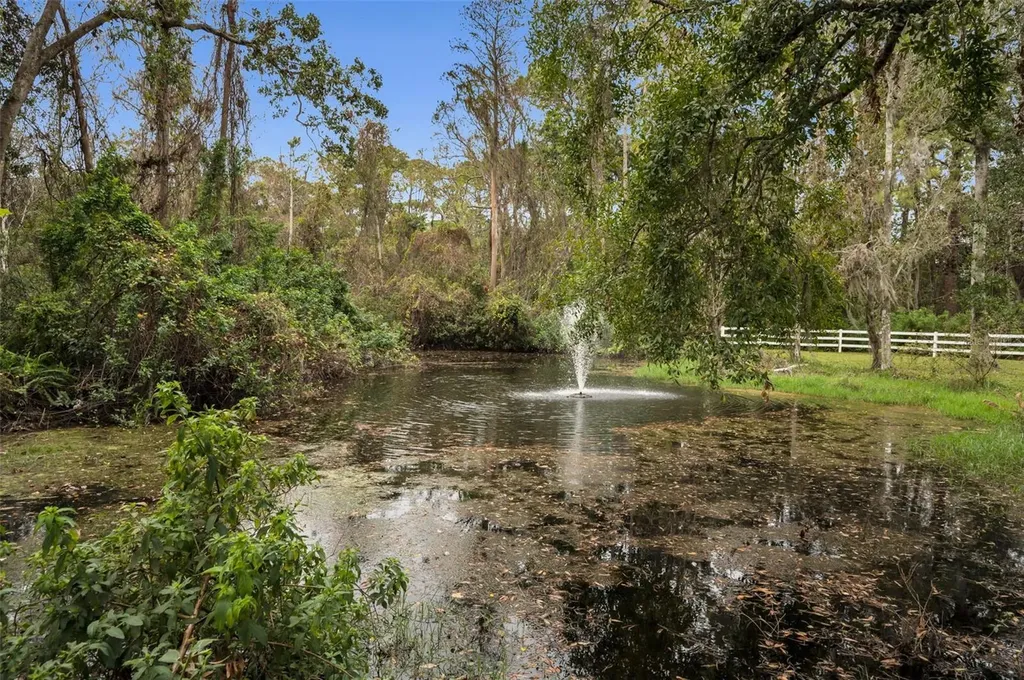 249 Dogwood Trace Tarpon Springs FL 34688