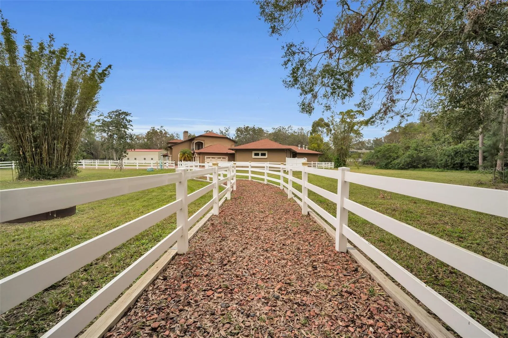 249 Dogwood Trace Tarpon Springs FL 34688